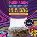 4 LB All-in-One Grow Bag: Up to 32oz of Mushrooms! Nutrient-Enhanced, Injection Port, Just Add Your Own Spores & Grow Like Magic (4 LB Bag)