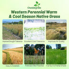 Outsidepride Western Native Grass Seed Mix - 5 lbs. Perennial Blend of Warm & Cool Season, Drought Tolerant Grass Seed for Natural Landscaping w/Wildflower, Soil Health Improvement & Erosion Control