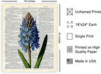 Poster Master Dictionary Art Poster - Blue Hyacinth Print - Flower Art - Floral Art - Gift for Men, Women & Florist - Minimal Decor for Bedroom, Office, Dorm or Flower Shop, 18x24 Unframed Wall Art