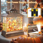 Fall Snow Globe Lantern Thanksgiving Pumpkins and Squirrels Water Lantern with Swirling Glitter 6H Timer Remote Control Fall Decorations for Home Thanksgiving Autumn Harvest (Pumpkin and Squirrel)