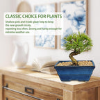 Set of 2 Large Blue Glazed Ceramic Bonsai Pots, 10" Rectangular Bonsai Planters Pots with Drainage Hole for Indoor/Outdoor Plants, Bonzie Tree Pot for Succulents, Cacti, Orchids, Herbs, Spider Plants