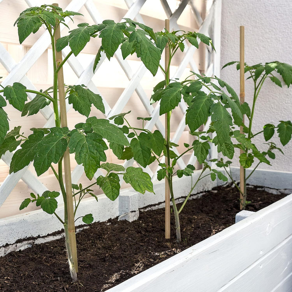 Plant Stakes,16 Inches Natural Garden Bamboo Sticks,BOVITRO 20Pcs Plant Support Stakes for Tomatoes,Beans,Vegetable and Potted Plants
