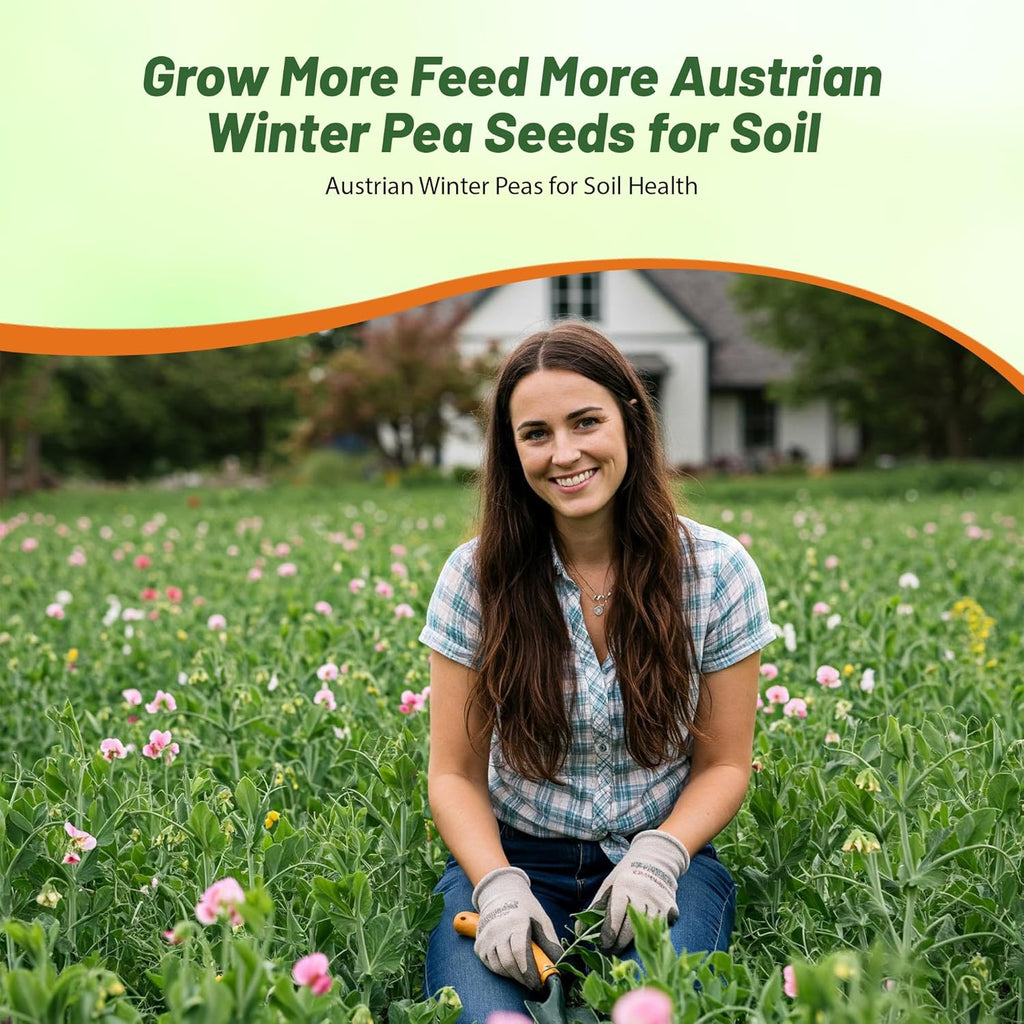 Outsidepride Austrian Winter Peas Seeds for Planting – 50 lbs Bag (Cool-Season Cover Crop, High-Protein Deer Food Plot Seed) Field Peas, Cover Crop Seeds, Spring Mix for Soil Health & Forage