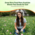 Outsidepride Austrian Winter Peas Seeds for Planting – 50 lbs Bag (Cool-Season Cover Crop, High-Protein Deer Food Plot Seed) Field Peas, Cover Crop Seeds, Spring Mix for Soil Health & Forage