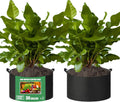 2-Pack 30 Gallon Fabric Grow Bags with Handle, Heavy Duty 300G Thickened Nonwoven with Handles and Reusable, Suitable for Garden Vegetables,Fruits and Flowers(Black)