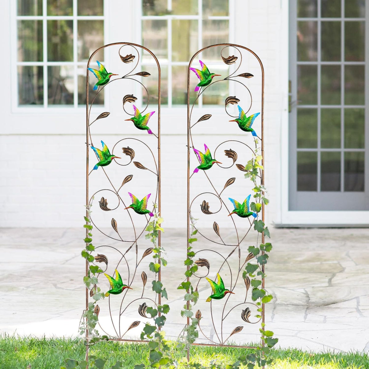 LEWIS&WAYNE 2 Pack Metal Garden Trellis with Colorful Hummingbird 60 Inch High Outdoor Decoration Arched Fence Trellis for Climbing Plants for Patio, Lawn, Yard, Backyard, Wall Brackets