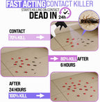Granny Dee’s Silverfish Killer Indoor & Outdoor (Made in USA) - Kills Pests in 24 Hrs - Plant-Based Bug Killer with Peppermint Oil - Safe for Pets & Kids - Targets Earwigs, Ants, Insect, Fly & Spider