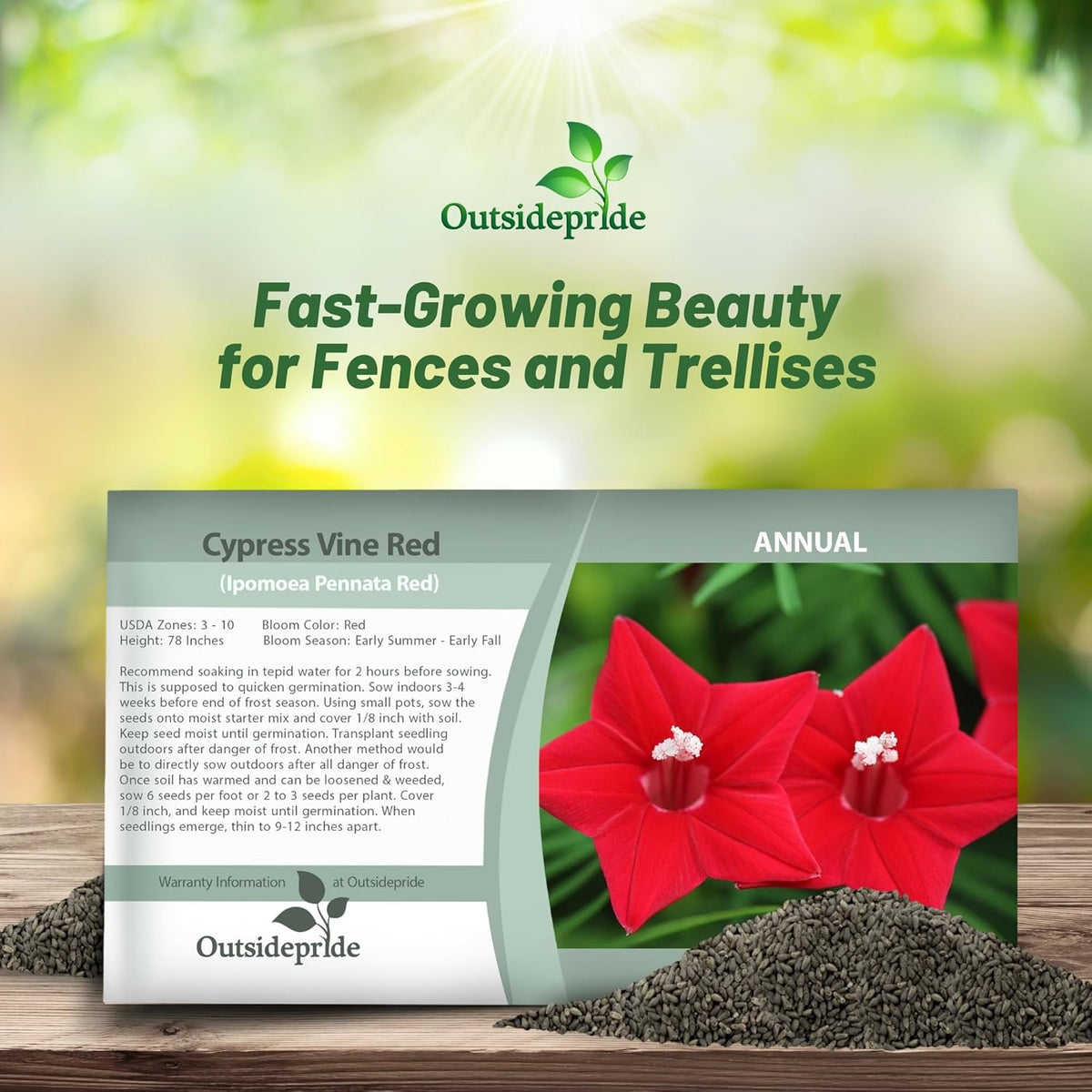 Outsidepride Red Cypress Vine Seeds - 200 Pcs Annual Flower Seeds with Nectar-Rich, Star-Shaped Flowers & Feathery, Fern-Like Leaves for Fences, Trellises, Pergolas & Vertical Gardens