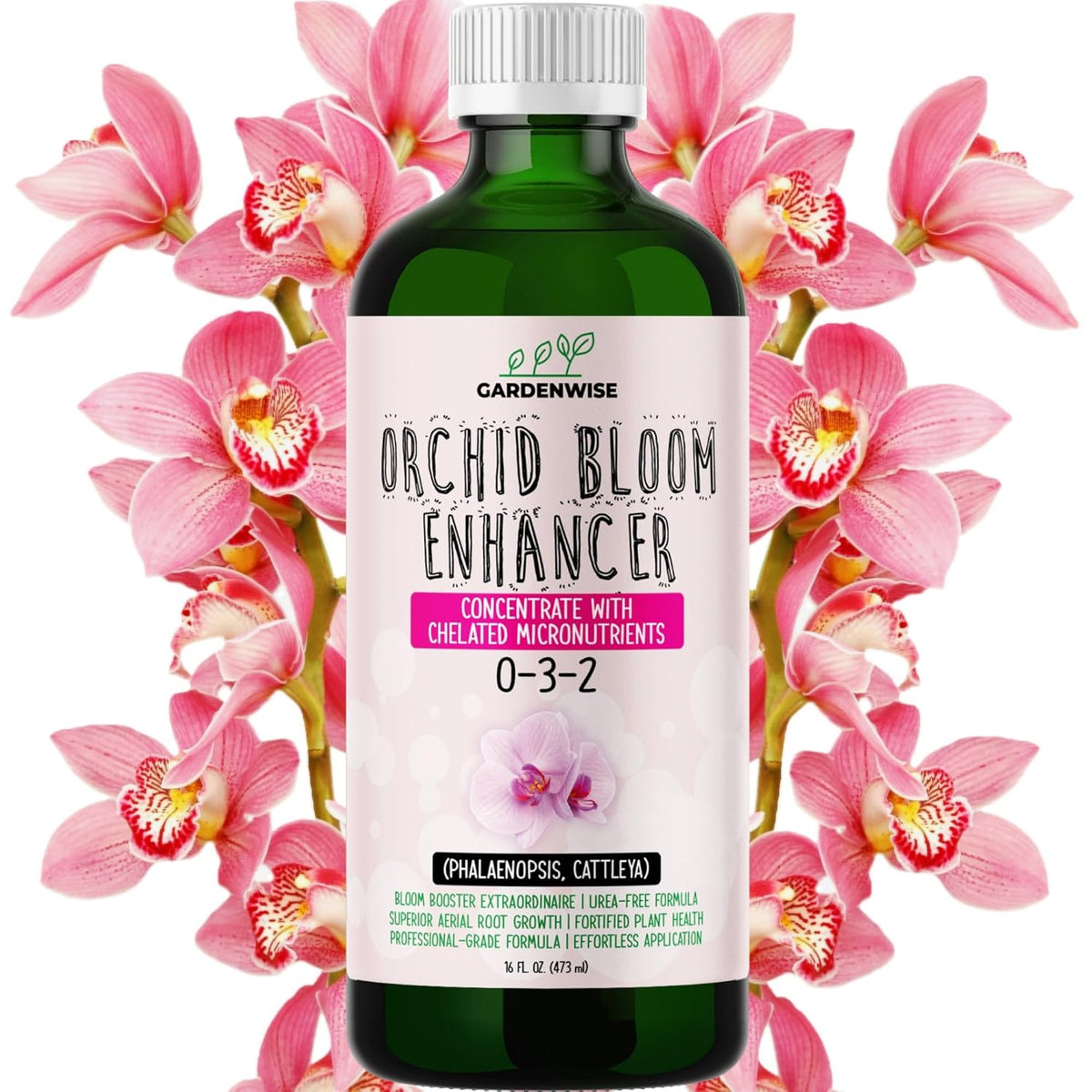 0-3-2 Giant Bloom: Orchid Bloom Enhancer - Orchid Bloom Booster - Orchid Food Fertilizer Concentrate - Chelated Nutrients for Healthy Flower & Reblooms (16 OZ)