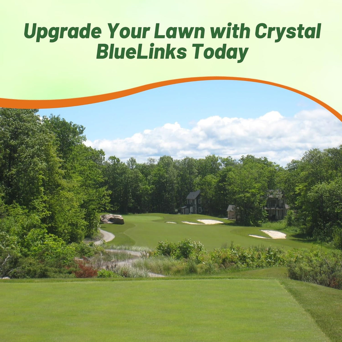 Outsidepride Crystal Bluelinks Creeping Bent Grass Seed - 1 lb. Dense Turf Grass for Golf Greens & Putting Surfaces, Fine-Textured, Tolerant to Close Mowing for Smooth, Consistent Lawn Coverage
