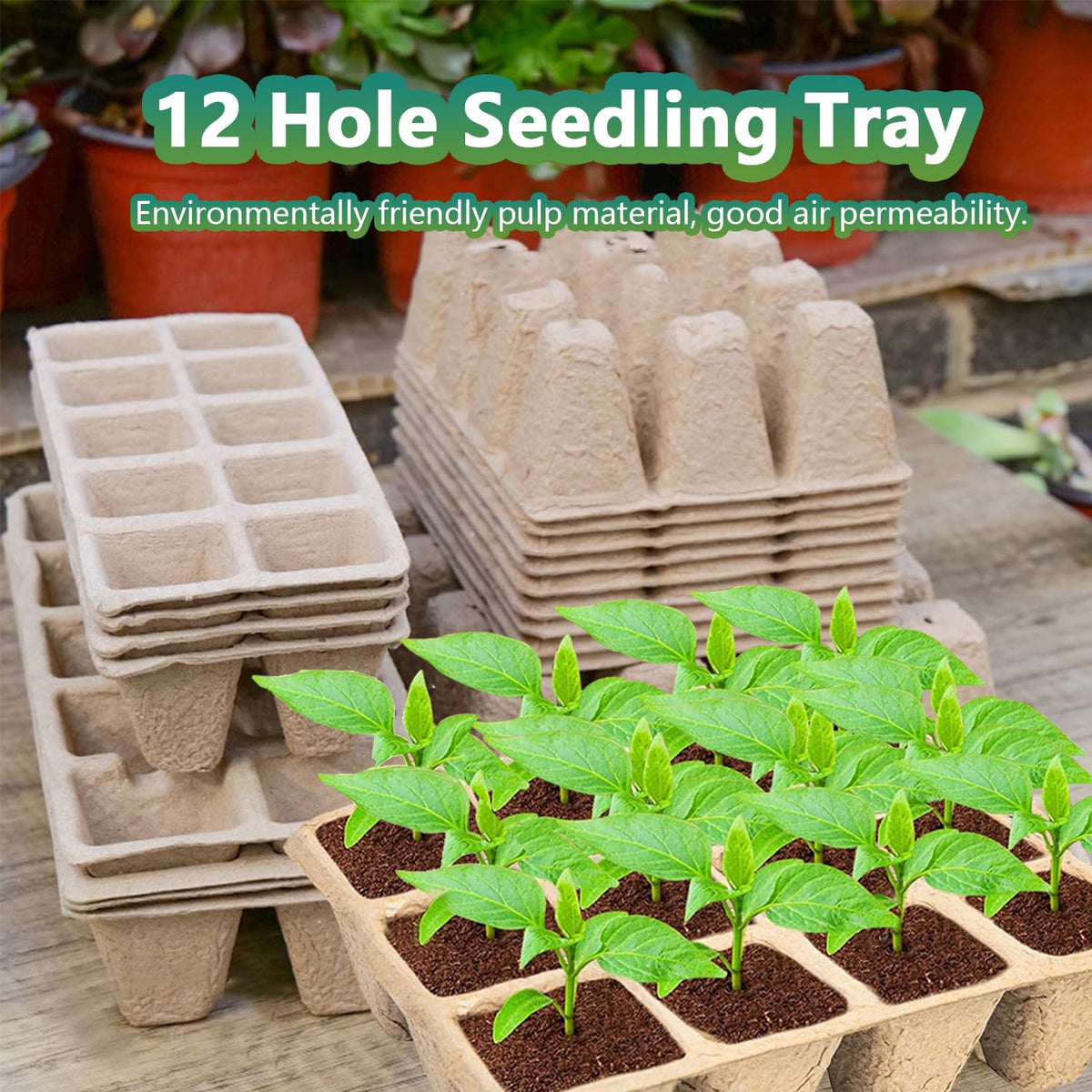Doubleggs 120 Cells Seed Starter Tray, 10 Pack Plant Starter Kit