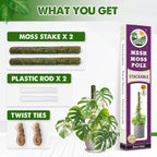 DUSPRO Stackable Mesh Moss Pole for Plants Monstera Potted Plant Stakes for Indoor Plants Extendable Plant Pole Moss Sticks for Plants Climbing Vine Supporting Monstera Trellis 2 Pcs 22''