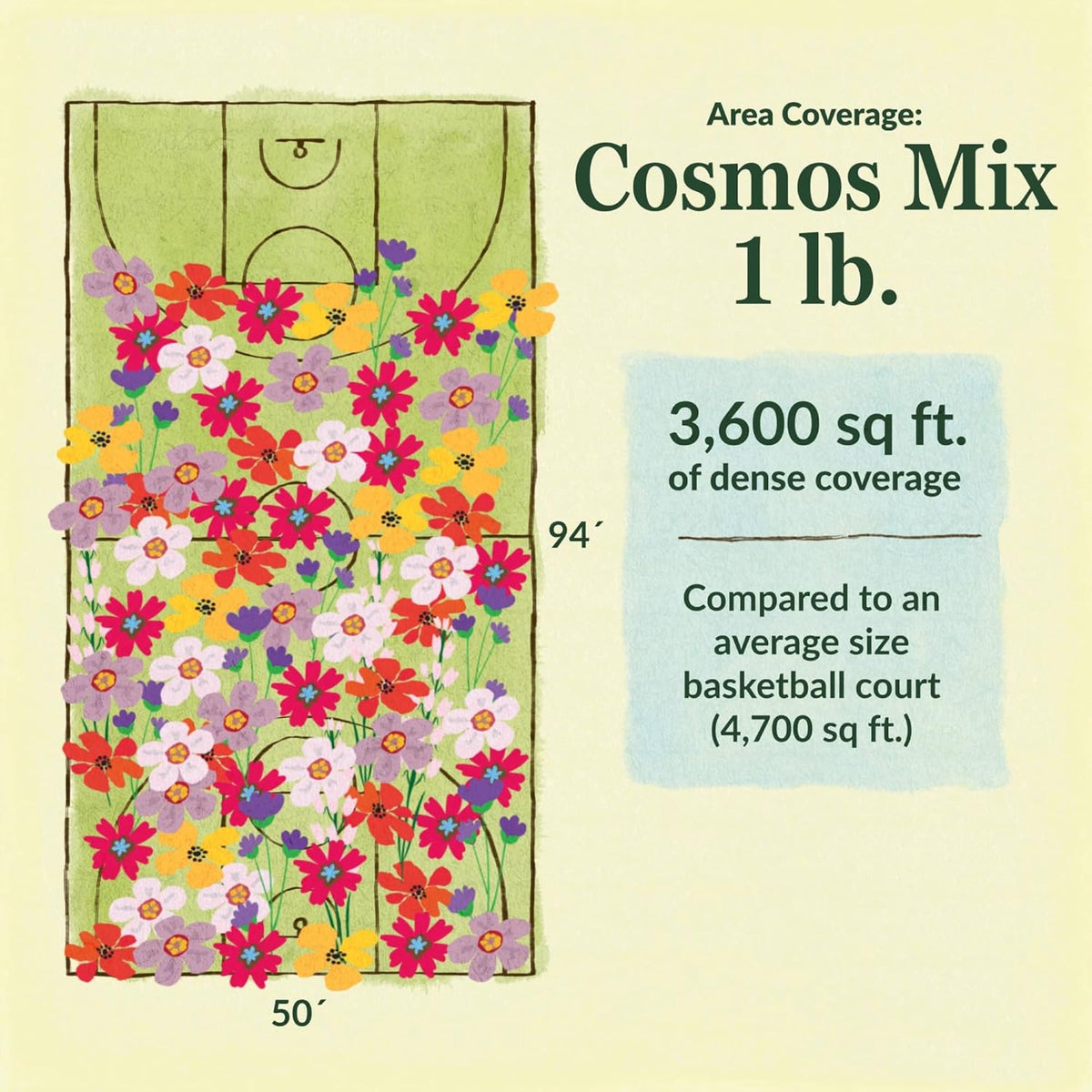 Ferry-Morse Cosmos Mix Bulk Flower Seeds, 1lb