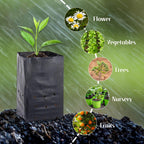 100 Pcs Nursery Growing Bags Seedling Starter Bags with 30 Plant Labels & 2 Mini Watering Sprinklers,Plant Grow Bags Plants Pots Plastic Pouches for Garden Trees,Flowers, Vegetable(8.8x5.3x4.7 Inch)