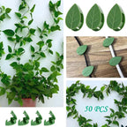 Plant Climbing Wall Fixture Clips, 100Pcs Self-Adhesive Plant Fixer Wall Clips Hook Vines Traction, Invisible Holder Leaf Shaped Wall Vines Fixing Clips Indoor Outdoor Decor