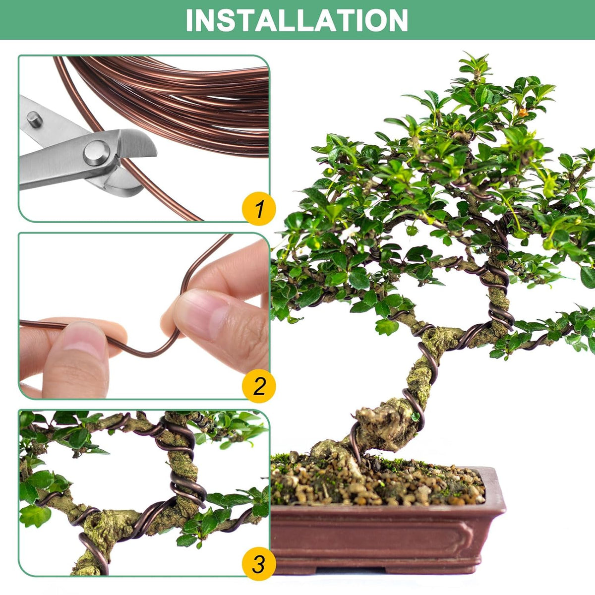 3mm Bonsai Training Wire, 16.4 Feet Total Anodized Aluminum Bonsai Wires for Bonsai Tree Shaping/Branches Fixing/Trunk Holding/DIY Crafting [Bronze]