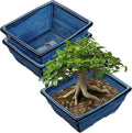 Set of 2 Large Blue Glazed Ceramic Bonsai Pots, 10" Rectangular Bonsai Planters Pots with Drainage Hole for Indoor/Outdoor Plants, Bonzie Tree Pot for Succulents, Cacti, Orchids, Herbs, Spider Plants