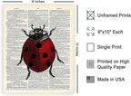 Poster Master Dictionary Art Poster - Retro Ladybug Print - Insect Art - Red Bug Art - Gift for Men, Women & Animal Lover - Minimal Decor for Living Room & Kid's Room - 8x10 UNFRAMED Wall Art