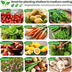 4pcs 4x2ft Galvanized Raised Garden Bed Outdoor,Above Ground Garden Bed for Vegetable,Metal Raised Beds for Flower,Steel Raised Beds for Gardening