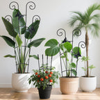 4 Pack 30'Taller Plant Trellis for Potted Climbing Plants Indoor,Expandable Metal Garden Trellis for Climbing Plants, Flowers Vine Ivy, Sturdy Houseplant Support for Potted Plants with Ties