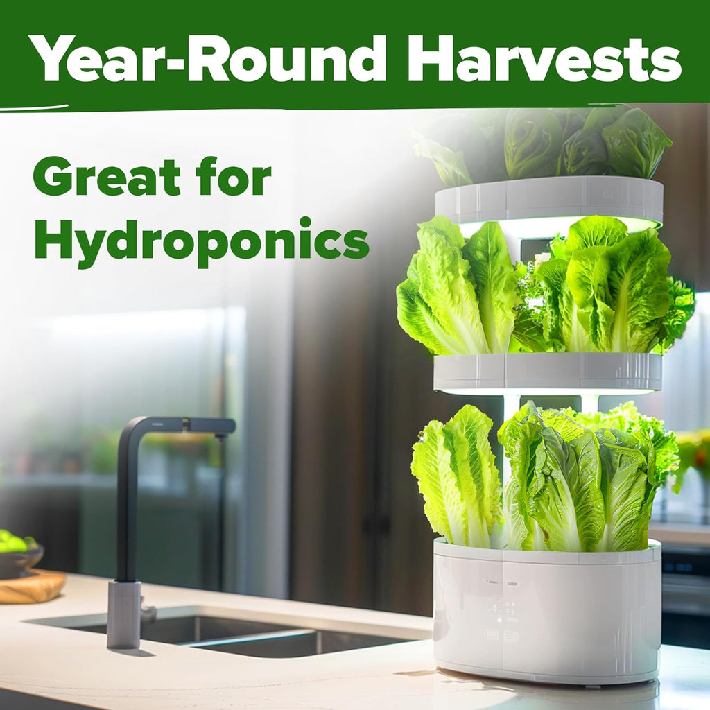 HOME GROWN 𝗨𝗦𝗔 𝗣𝗥𝗘𝗠𝗜𝗨𝗠 Parris Island Romaine Lettuce 3,500+ High Germination Heirloom 𝗡𝗢𝗡-𝗚𝗠𝗢 Lettuce for Planting Crisp Heads for Garden & Hydroponics, Indoor Outdoor (Lactuca Sativa)