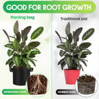 Nuanchu 50 Packs Grow Bags Small Aeration Fabric Pots Nonwoven Garden Bags Grow Pots Planter with 50 Pcs Plant Labels for Indoor Outdoor Plant Flower Planting Vegetable Growing (2 Gallon)