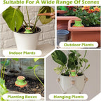 VICAMB 6PCS Self Watering Terracotta Globes,Ollas Watering Pot with Lid,Clay Plant Watering Devices,Planter Insert Terracotta Watering Spikes for Outdoor Indoor Plants with 1 Week Easy to Refill