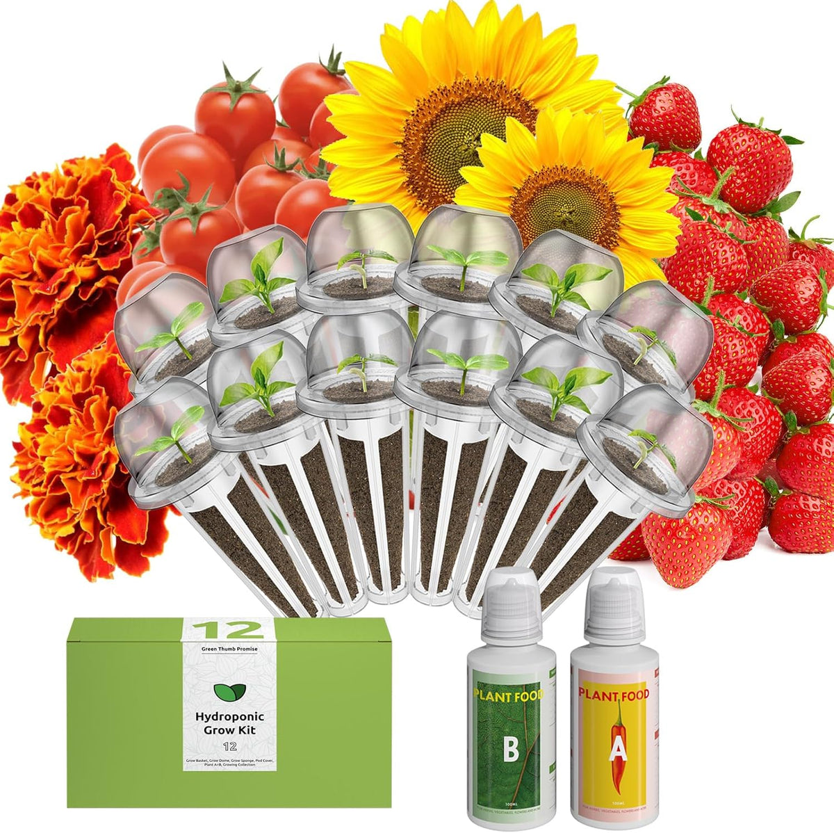 inbloom Vibrant Wildflower & Fruit Mixd Seed Pod Kit for AeroGarden, Ahopegarden Hydroponics Growing System, 12-Pods (350 Seeds+, Include Dwarf Sunflower, Marigold, Red Cherry Tomato, Red Strawberry