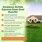 Outsidepride Perennial Buffalo Grass Seed - 5 lbs Heat & Drought Tolerant, Low Maintenance, Warm Season Dense Turf Grass Seed for Lawn, Xeriscape Landscaping, & Roadside Planting