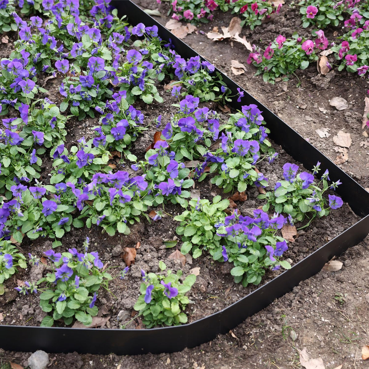 10-Pack Galvanized Steel Landscape Lawn Edging - 8.5 inch Height Black Powder Coated Bendable Metal Strips - Hammer-in Edge Border - Yard Pathway Divider 40 inch Each(33Ft Total), #LYLB85BK-US