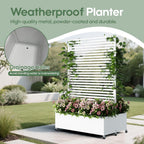 Double Metal Planter Box with Trellis Privacy Screen, Raised Garden Bed with Trellis & Wheels, Planter Box Outdoor with Drainage Holes for Climbing Plants, Vegetable, Vines,73"x 47"x 30", White