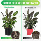 Nuanchu 50 Packs Grow Bags Small Aeration Fabric Pots Nonwoven Garden Bags Grow Pots Planter with 50 Pcs Plant Labels for Indoor Outdoor Plant Flower Planting Vegetable Growing (1 Gallon)
