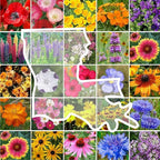 Eden Brothers Louisiana Wildflower Mixed Seeds for Planting, 1 lb, 480,000+ Seeds with Lupine, African Daisy | Attracts Pollinators, Plant in Spring or Fall, Zones