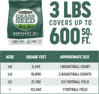 Pennington Kentucky 31 Tall Fescue Penkoted Grass Seed 3 lb