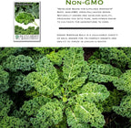 Dwarf Siberian Kale Seeds (Brassica oleracea) – 500+ Non-GMO & Heirloom Seeds for Planting, Cold-Hardy Leafy Green with Tender, Flavorful Leaves, by Isla’s Garden Seeds, Gift Idea