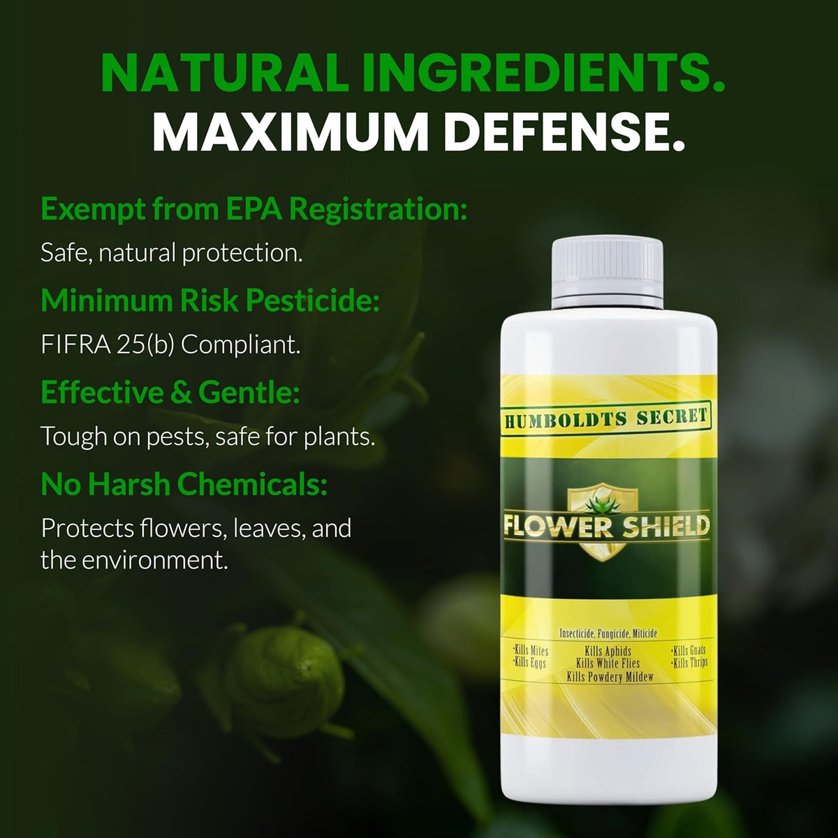 Humboldts Secret Flower Shield | Insecticide, Pesticide, Miticide, Fungicide | Bug Spray for Plants | Spider Mite & Powdery Mildew Control | Indoor & Outdoor | Houseplant & Garden | 8 Ounce