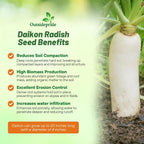 Outsidepride Annual Daikon Radish Seeds - 50 lbs. Chinese, Japanese, & Oriental Radish Seeds for Soil Health, Erosion Control, & Soil Aeration - Ideal for Gardens, Cover Crops, Pastures, & Food Plots