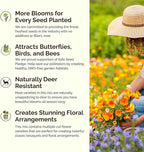 Eden Brothers New Mexico Wildflower Mixed Seeds for Planting, 1 lb, 480,000+ Seeds with Yarrow, Coreopsis | Attracts Pollinators, Plant in Spring or Fall, Zones