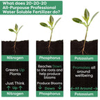 20-20-20 Water-Soluble Fertilizer – Powder for Liquid Plant Food for Indoor & Outdoor Plants, Orchids, Vegetables, Lawns, Flowers – 20 20 20 Fertilizer (20 QUARTS)