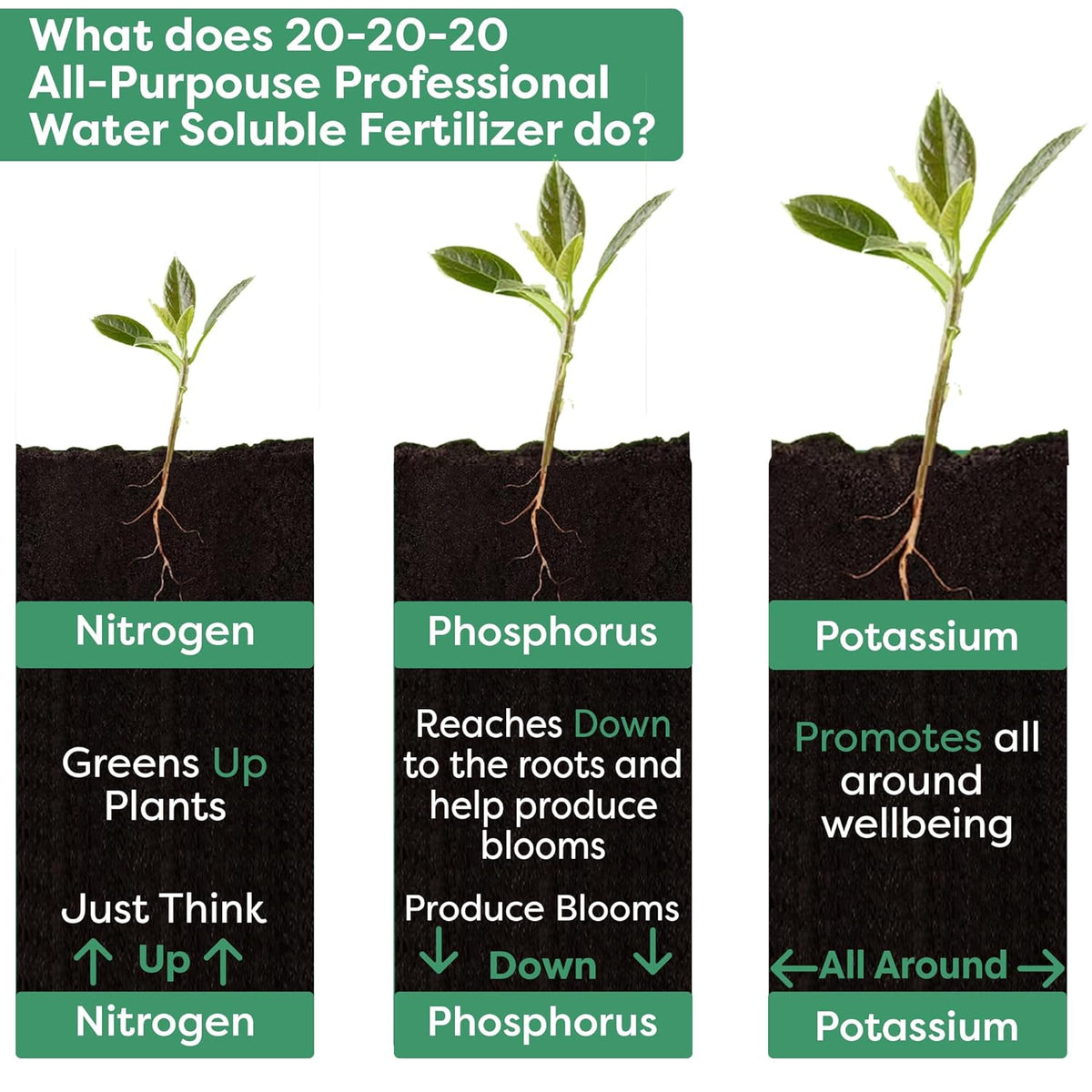 20-20-20 Water-Soluble Fertilizer – Powder for Liquid Plant Food for Indoor & Outdoor Plants, Orchids, Vegetables, Lawns, Flowers – 20 20 20 Fertilizer (10 QUARTS)