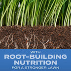 Scotts Turf Builder Grass Seed Sun & Shade Mix with Fertilizer and Soil Improver, Thrives in Many Conditions, 2.4 lbs.