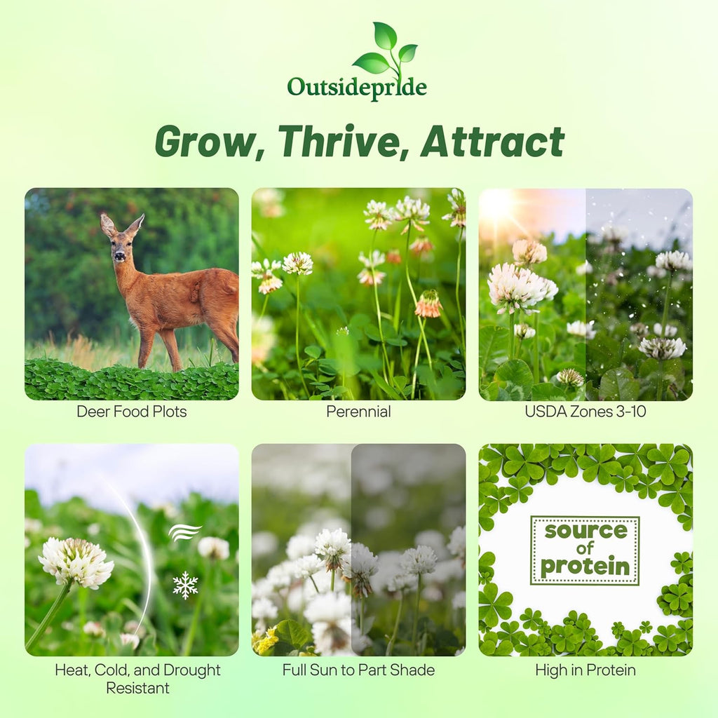 Outsidepride Perennial Clover King Seed Mix - 20 lbs Nitrocoated, Inoculated, Heat & Cold Tolerant, Alfalfa-Enhanced Food Plot Seeds for Deer & Wildlife, Ideal for Spring, Summer, & Winter Plots