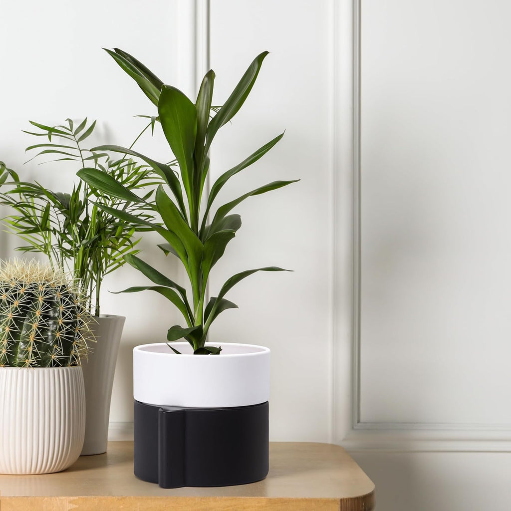 Phoenix Vine 6.5 Inch Self-Watering Planter Pot with Terracotta Insert, Deep Water Reservoir, and Ceramic-Alike BPA-Free Plastic Pot for Plant, Modern Planter for Houseplants, Black/White, 53-C-S-7
