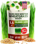 HOME GROWN 12,000+ Wheatgrass Seeds Bulk Pack(1.5 lb) 𝗡𝗢𝗡-𝗚𝗠𝗢 𝗨𝗦𝗔 Hard Red Winter Wheatgrass – Heirloom, Sprouting for Juicing, Microgreens, Smoothies & Indoor Gardening(Triticum aestivum)