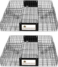 Rugged Ranch 2‑Pack Squirrelinator Multi‑Catch Squirrel Trap, Wire Cage, 24.5"x24.5"x5" Each - Live Catch‑and‑Release, 2‑Door Humane Rodent Control, No‑Poison Outdoor Use, Trap Only