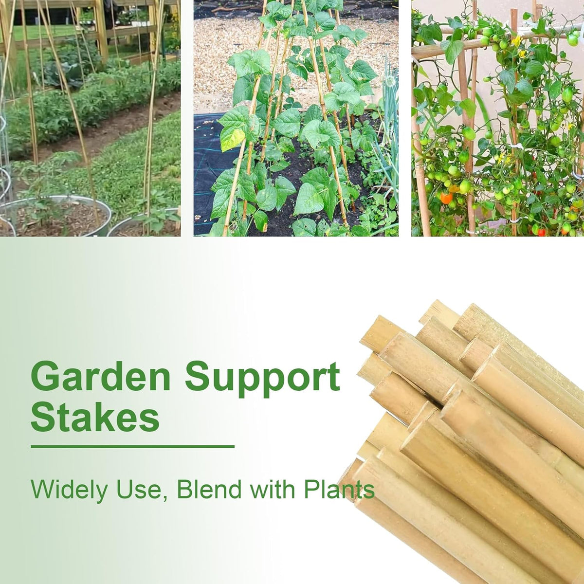 Bamboo Garden Stakes 57 Inch 25pcs, 1/2" Dia Plant Stakes 5ft Approx for Indoor Outdoor Plants, Support Tomato, Cucumber, Beans and More Climbing Plants