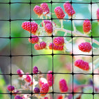 Bird-X Standard Bird Netting, Ideal for Gardens and Lightweight Applications, UV-Stabilized Mesh Netting with 3/4" Hole Opening, Easy to Install, 100' x 14'