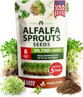 HOME GROWN Alfalfa Sprouting Seeds - Non-GMO USA-Sourced Heirloom Bulk Sprout Seed for Microgreens - Premium Organic Alfalfa Seeds for Sprouting - Indoor Growing Kit - 8 OZ