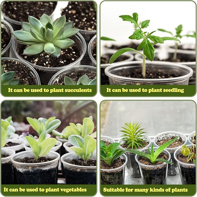 RAOOKIF 25 Pack 6 Inch Clear Nursery Pots with Drainage Holes, Flexible Plastic Nursery Pots for Plants, Reusable Garden Flower Pot, Seed Starter Pots