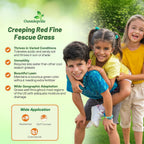 Outsidepride Creeping Red Fescue Grass Seed - 25 Lbs. Cool Season, Soft Textured, Self-Repairing Fine Fescue Grass Seeds for Lawn w/OptiGrowth Coating, Ideal for Dryland Cover Crop & Landscaping